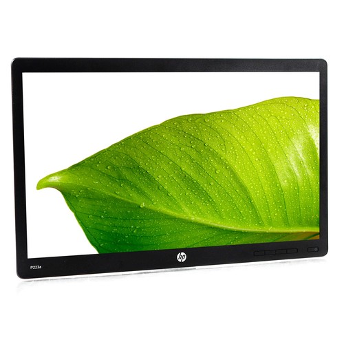 Prodisplay p223a - prodisplay, 22"